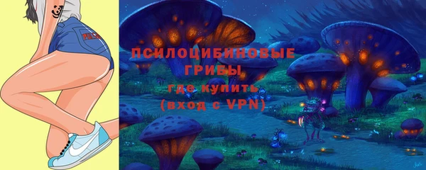 спайс Аркадак